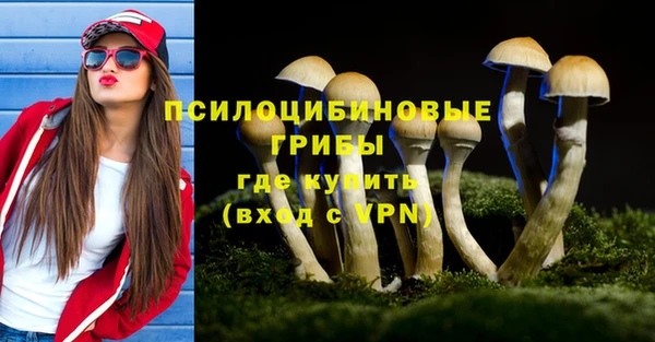 амф Михайловск