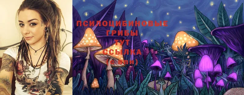 кракен рабочий сайт  Покачи  Псилоцибиновые грибы Cubensis 