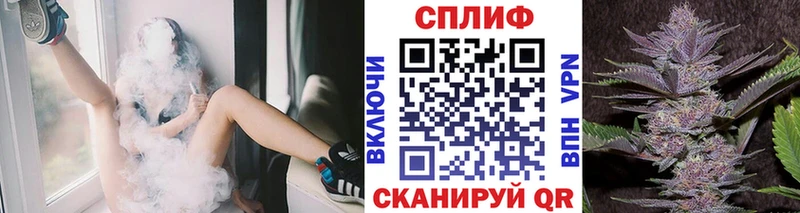 как найти наркотики  Покачи  Бошки марихуана план 